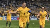 Tim Cahill